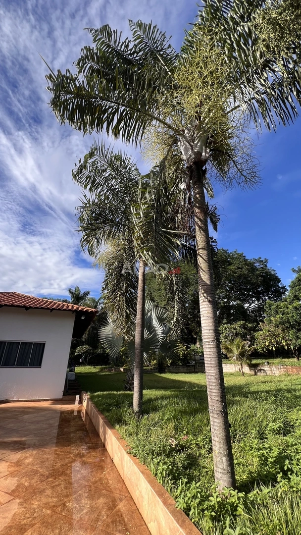 Mídia 2