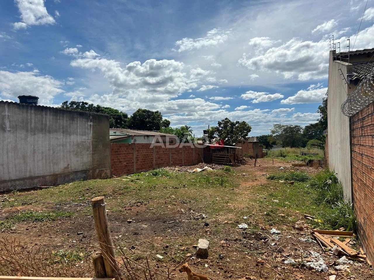 Mídia 4
