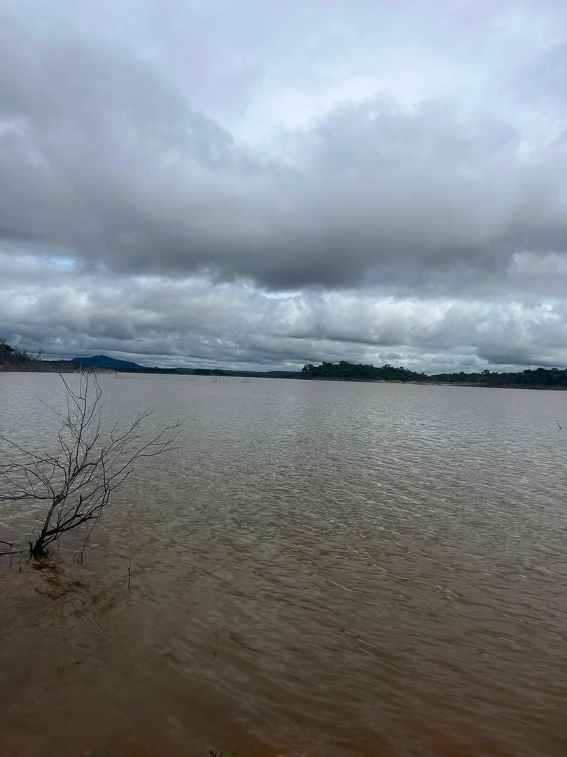 Mídia 4