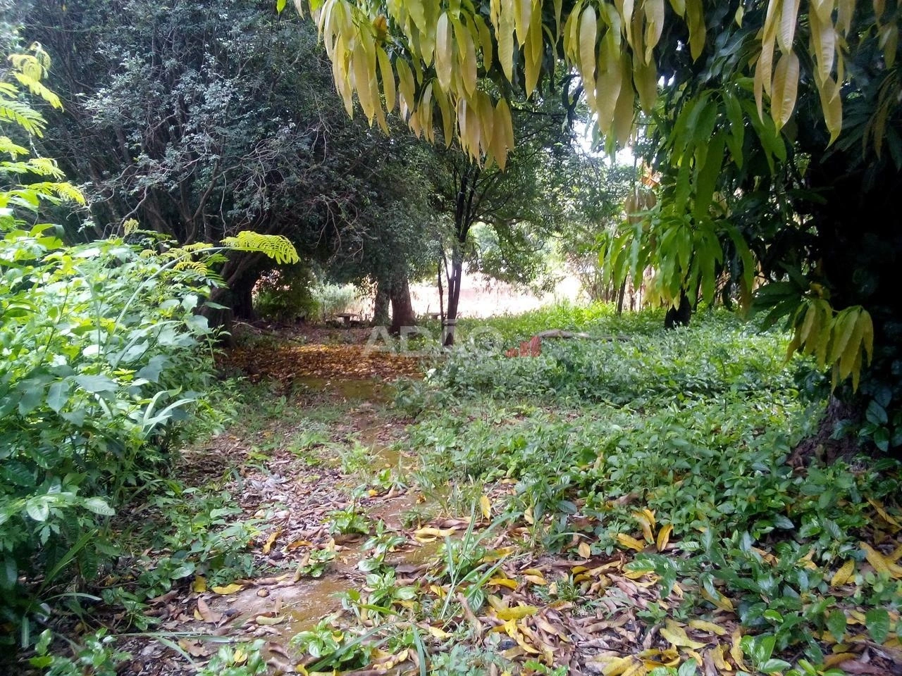 Mídia 4