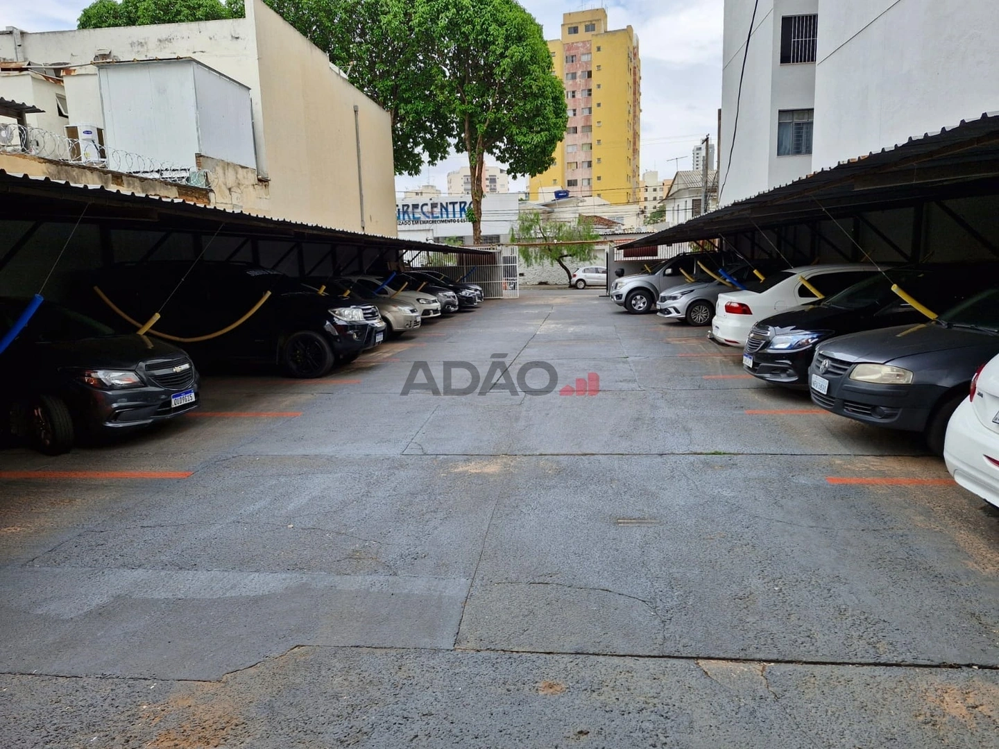 Mídia principal