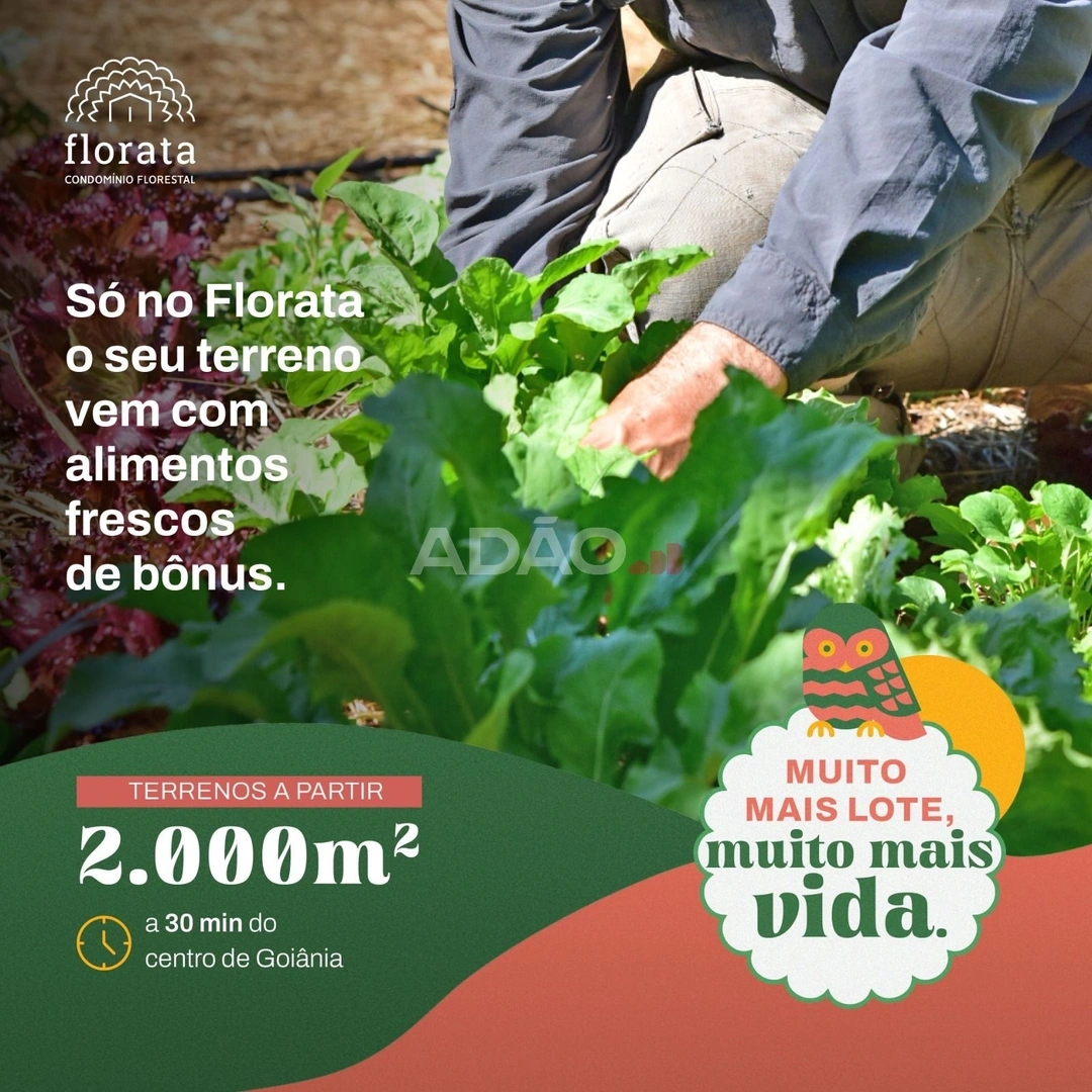 Mídia 5