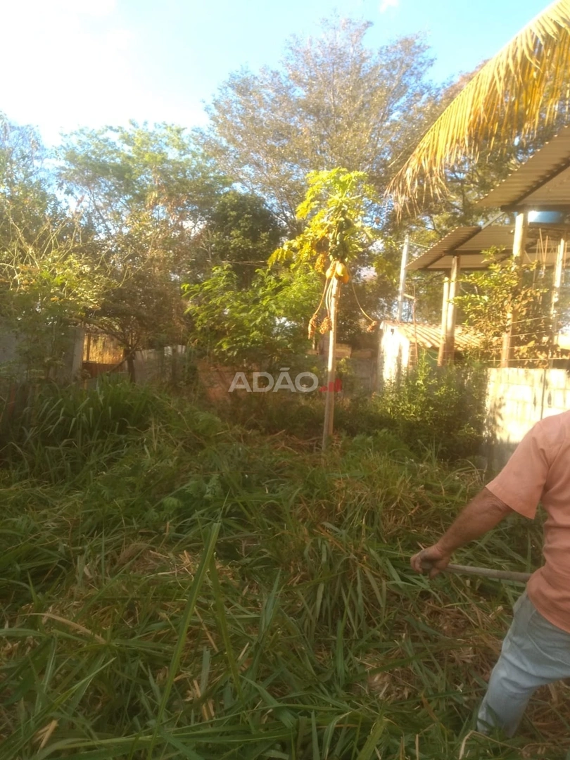 Mídia 2