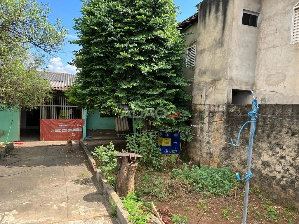 Mídia 4