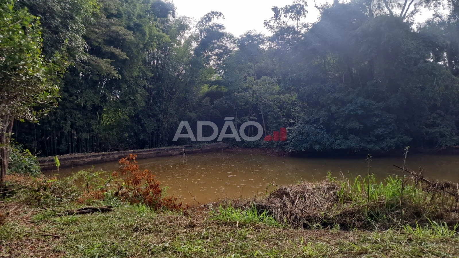 Mídia 4