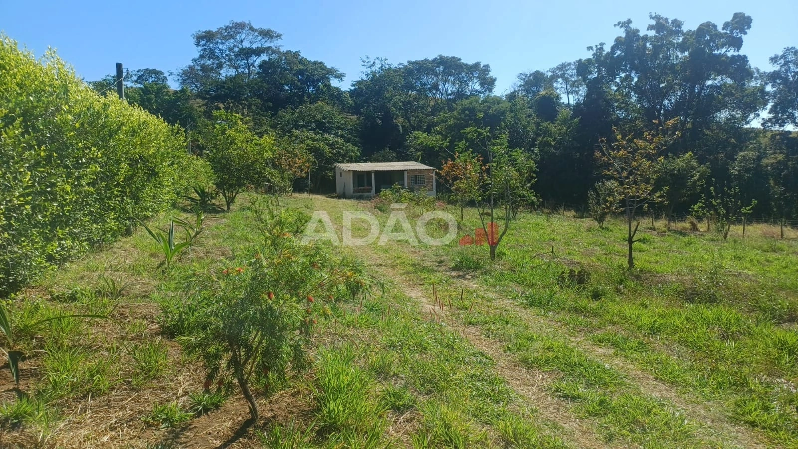 Mídia principal