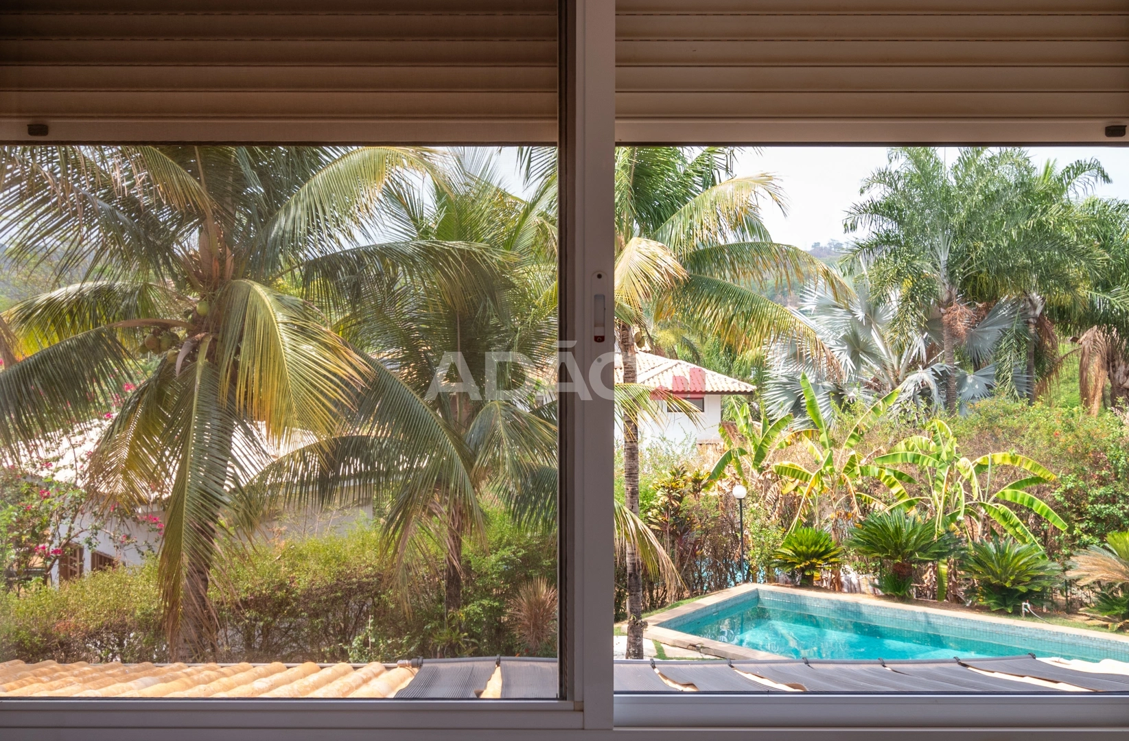 Mídia 5