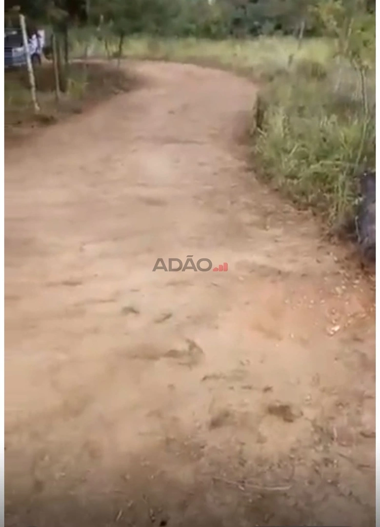 Mídia 4