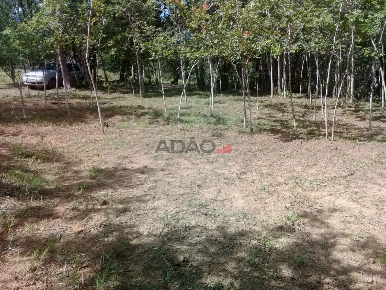 Mídia 5