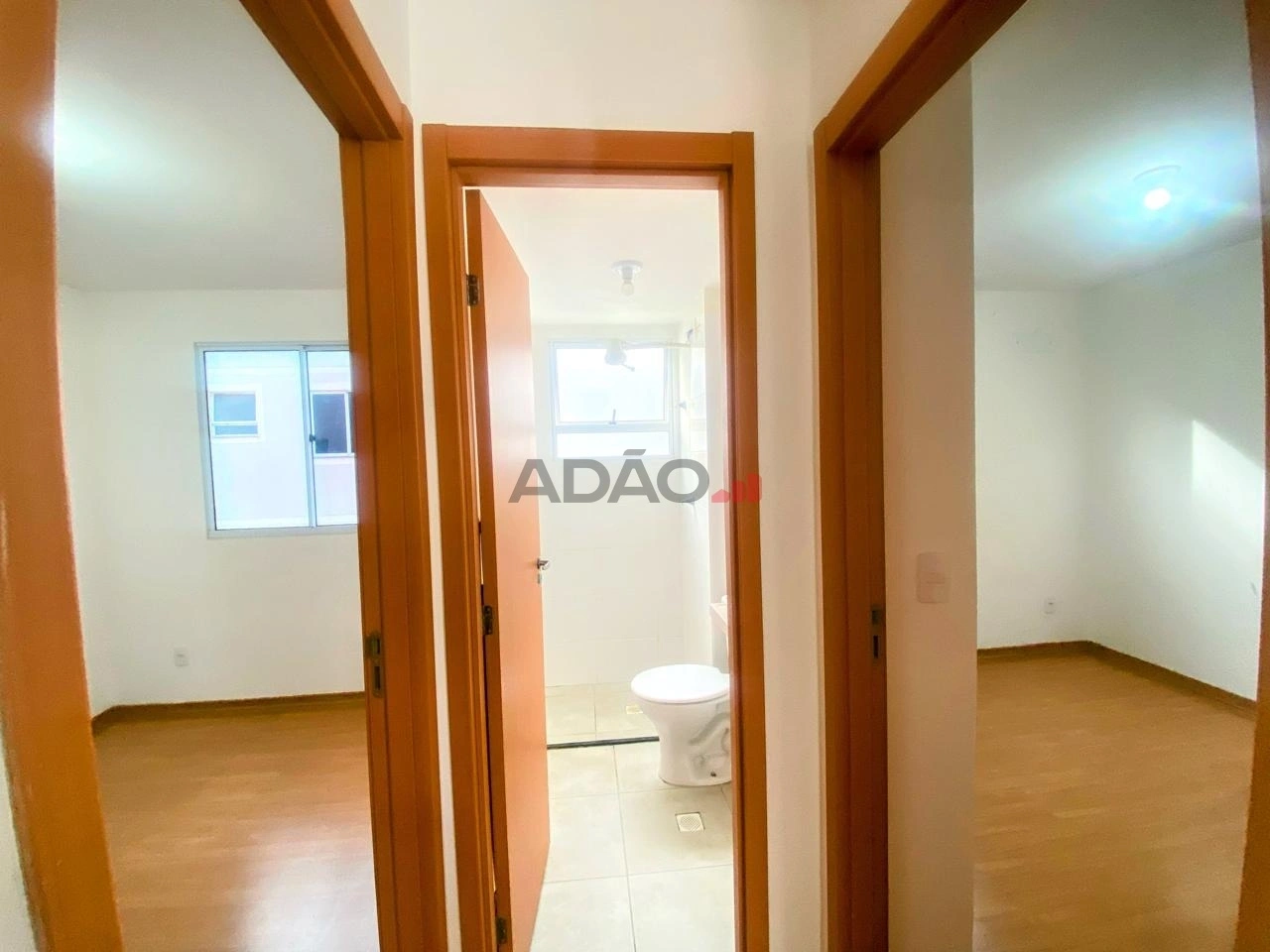 Mídia 4