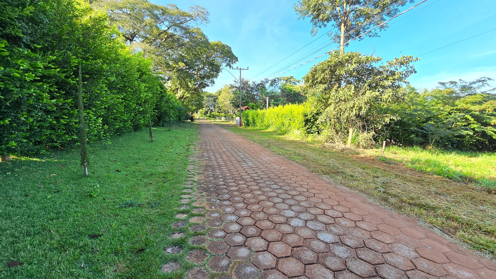 Mídia principal