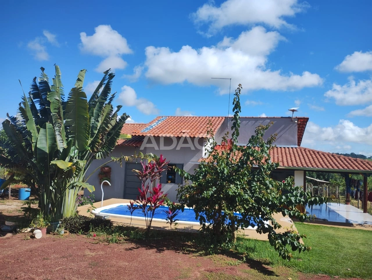 Mídia principal