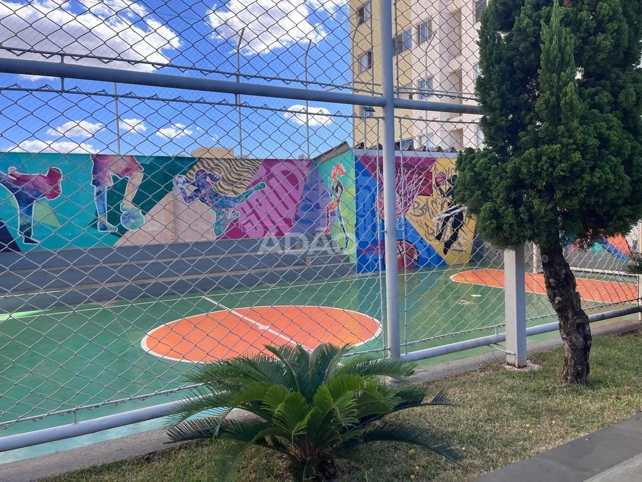 Mídia 5