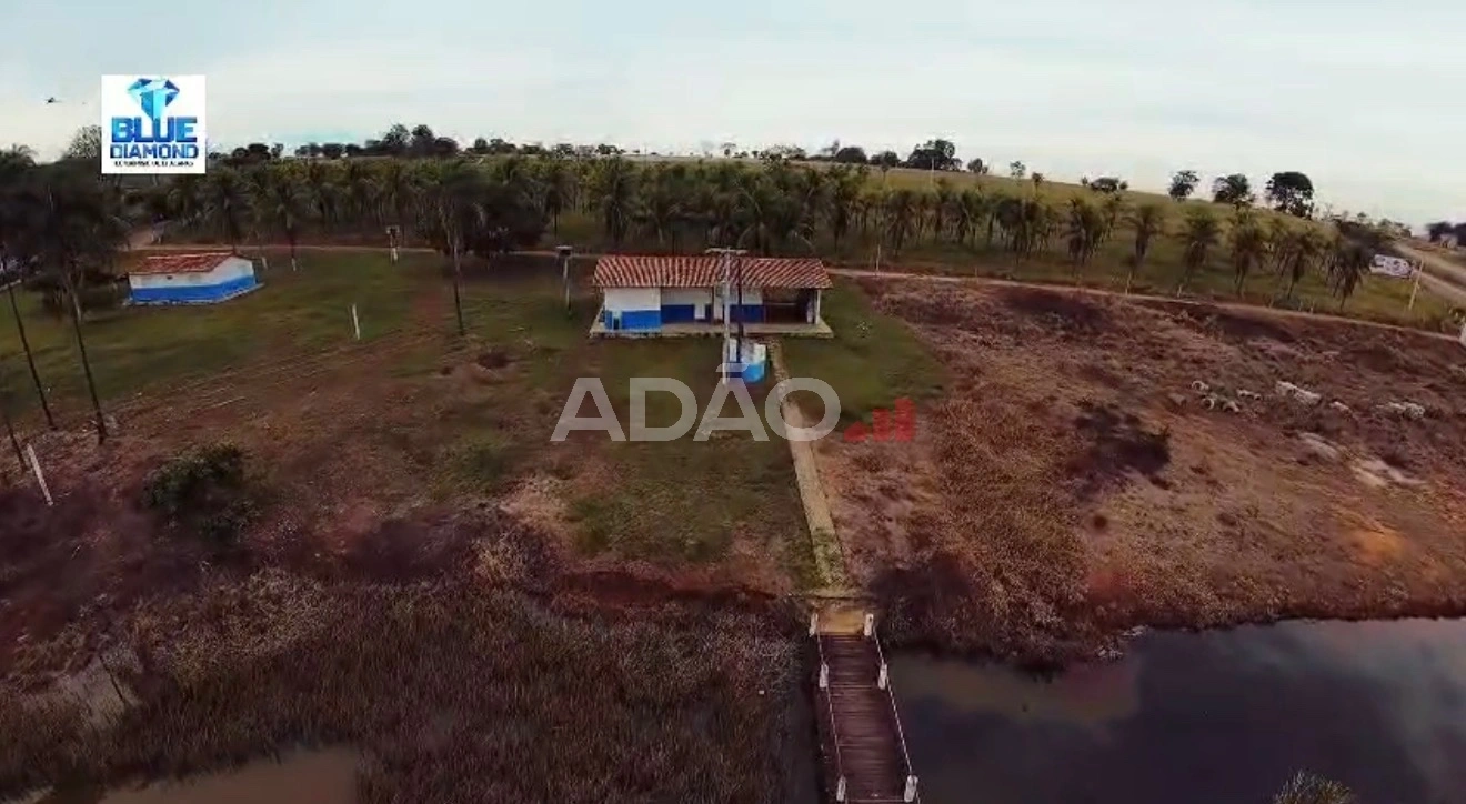 Mídia 5