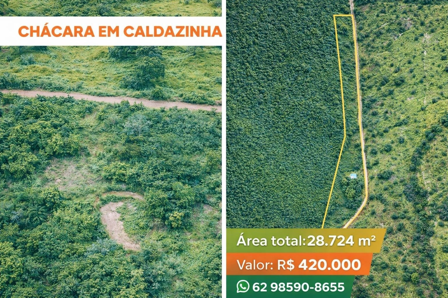 Mídia 5