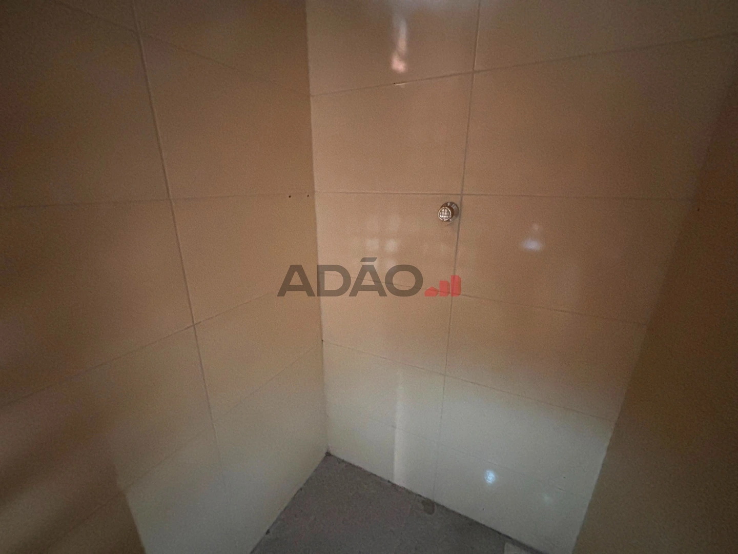 Mídia 4