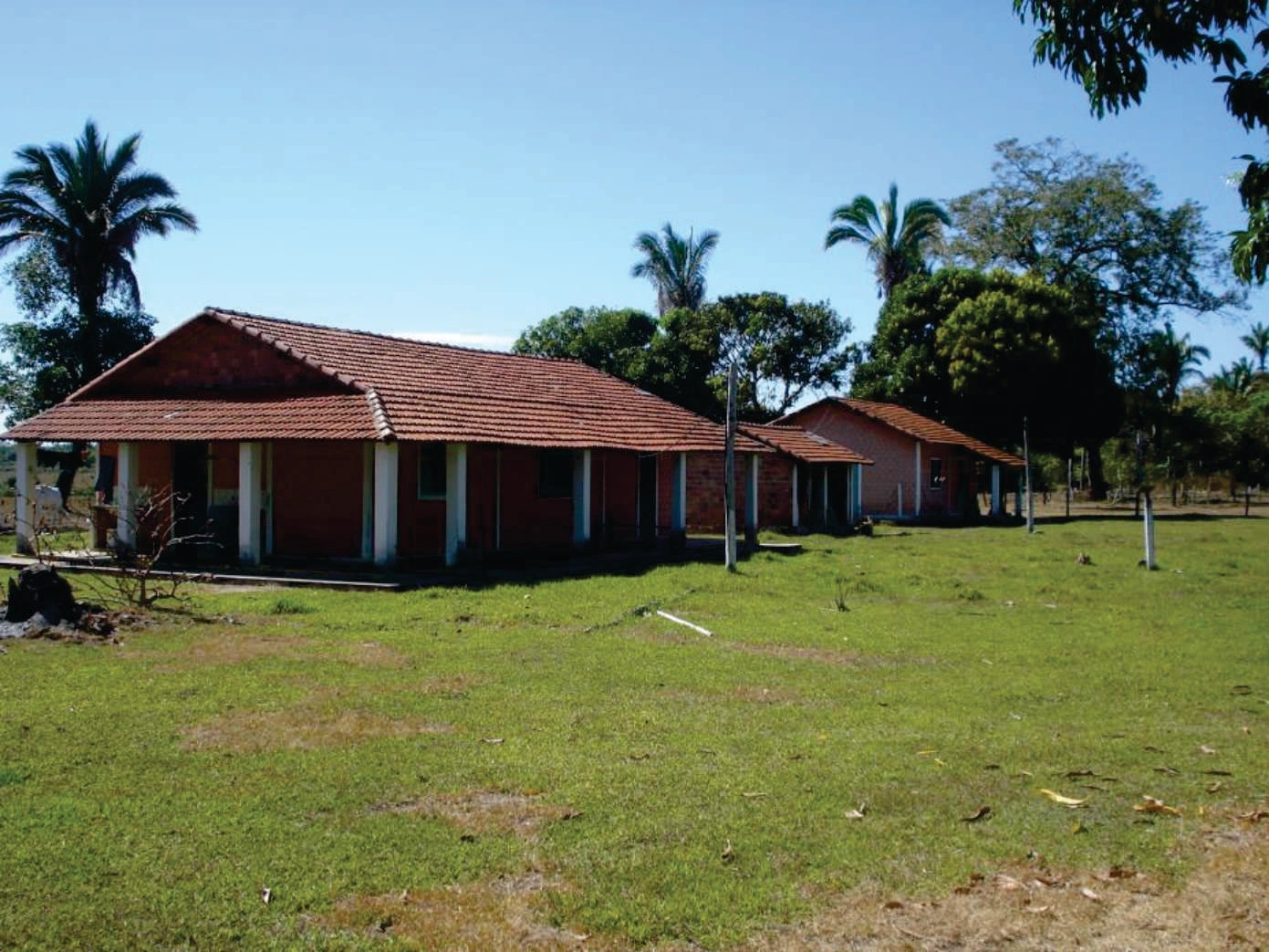 Mídia 4