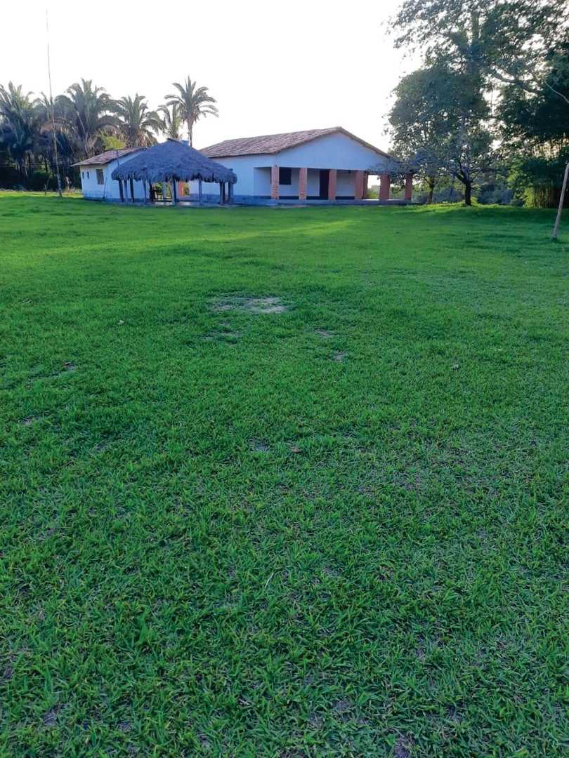 Mídia 3
