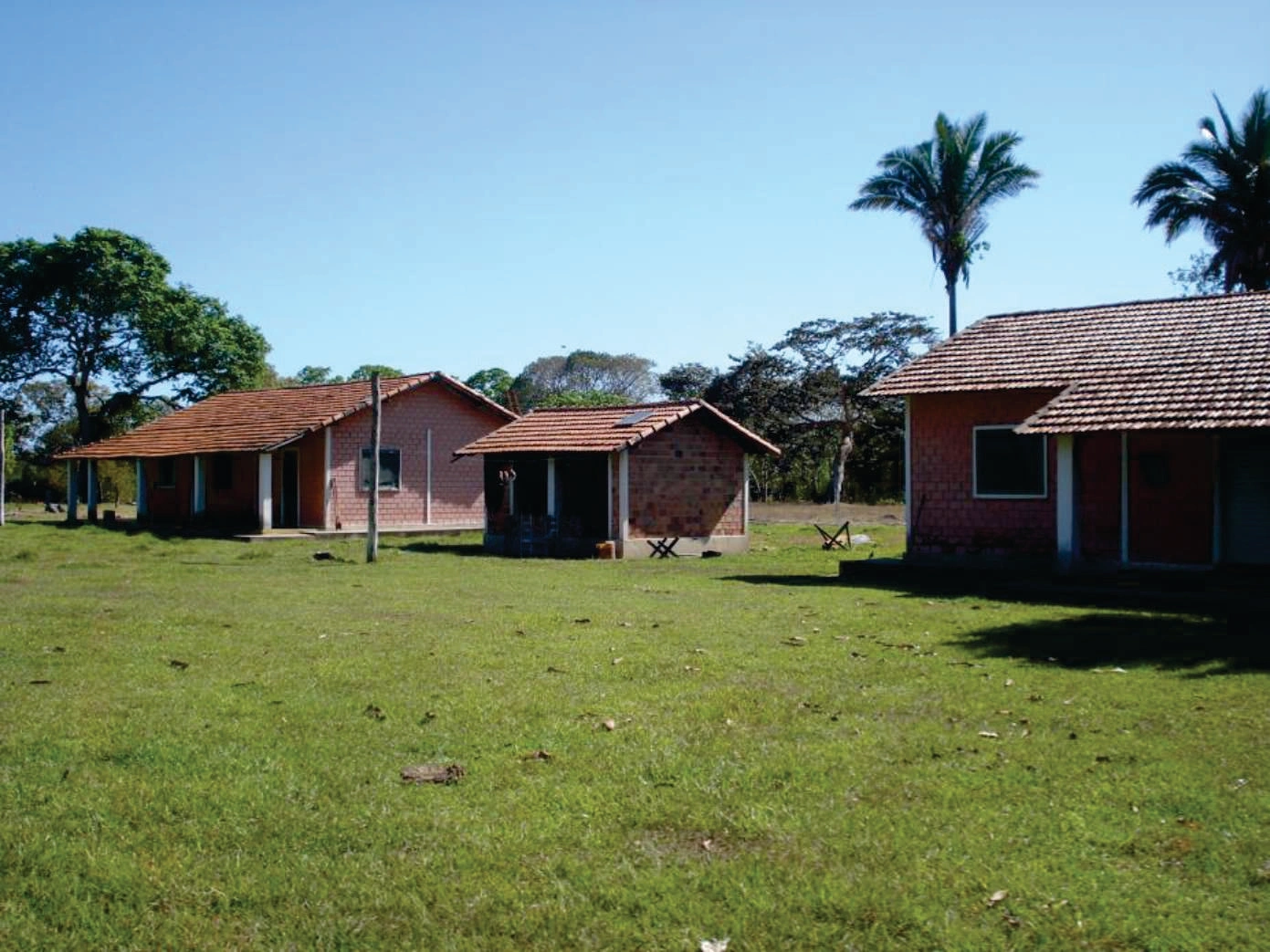 Mídia 5