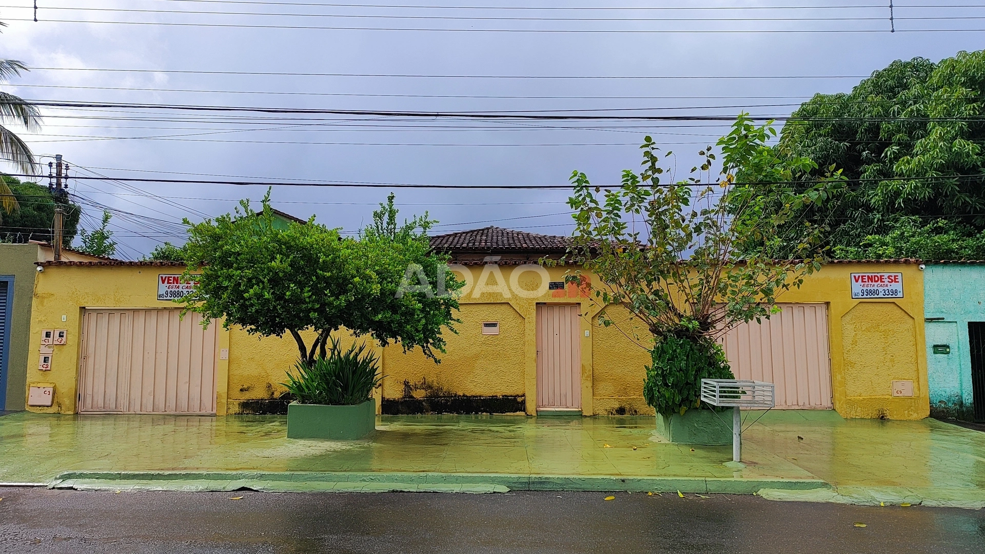 Mídia principal