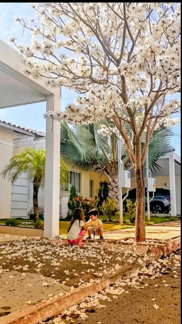 Imagem do imóvel 1 de 27 (+1 ocultas)