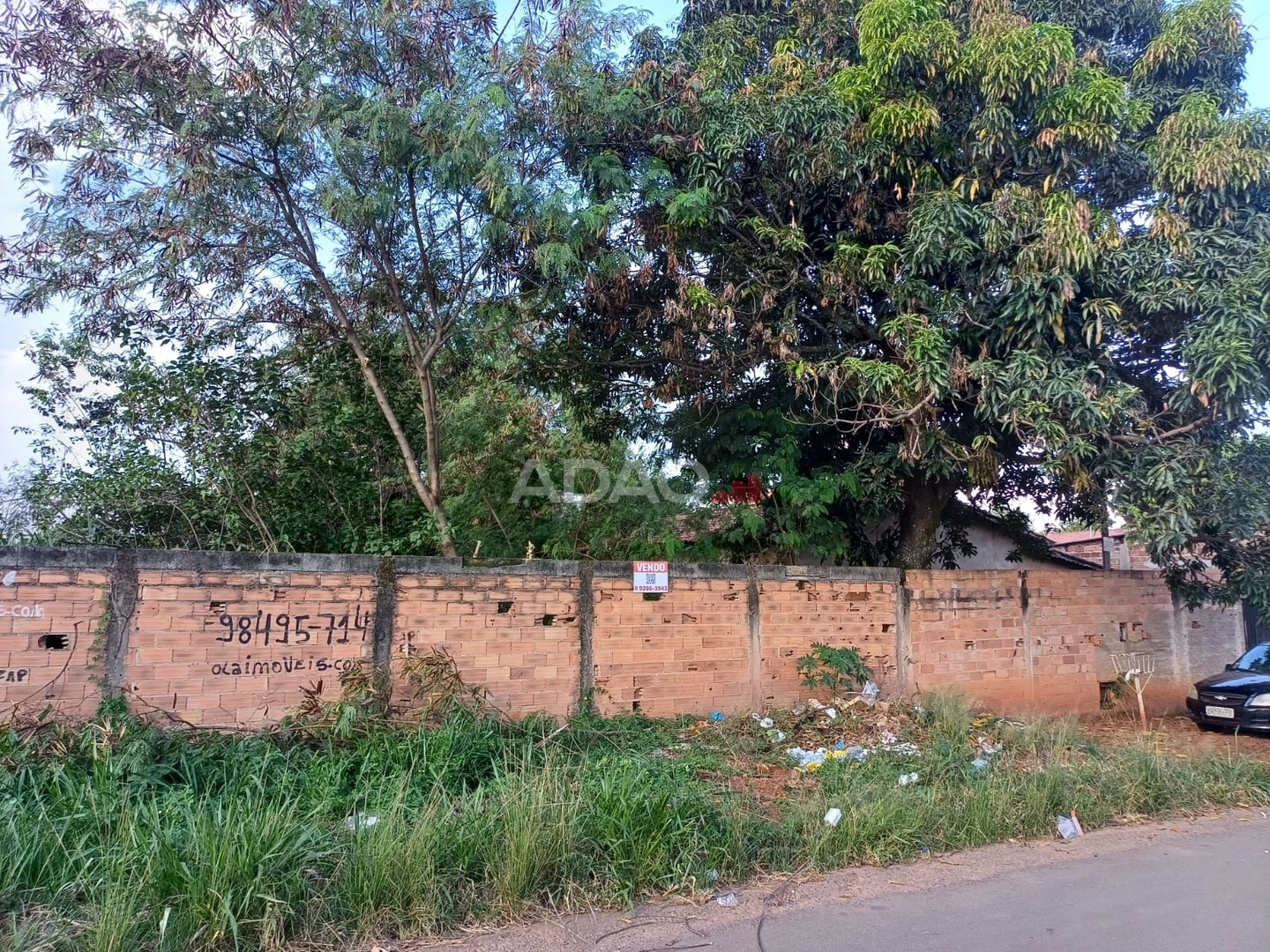 Mídia principal