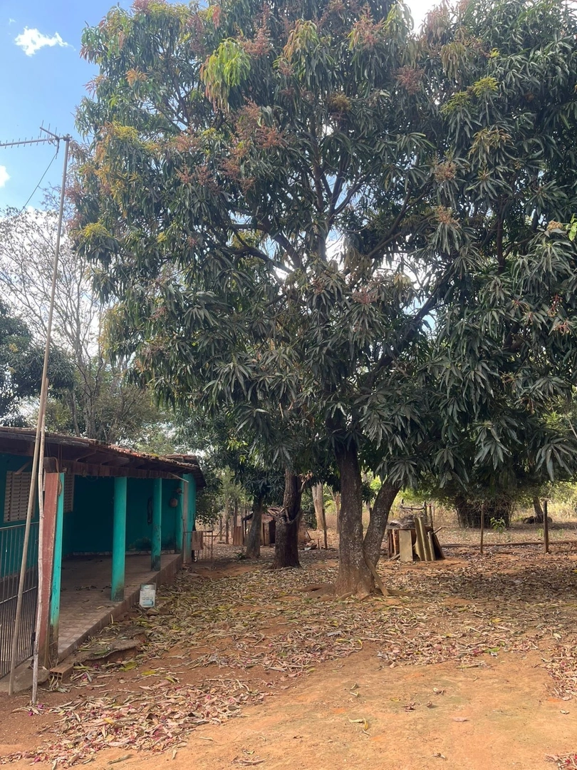 Mídia 3