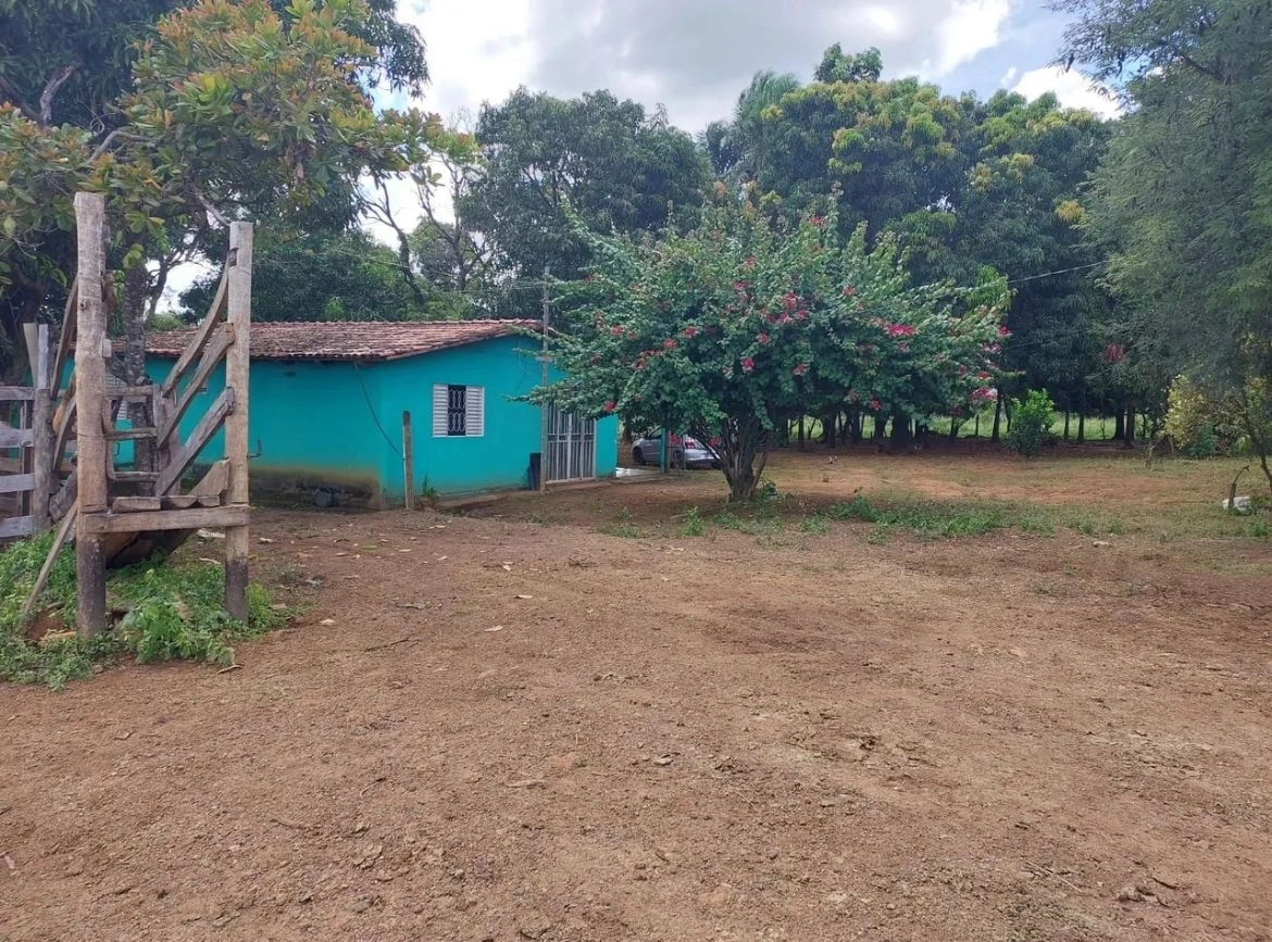 Mídia principal
