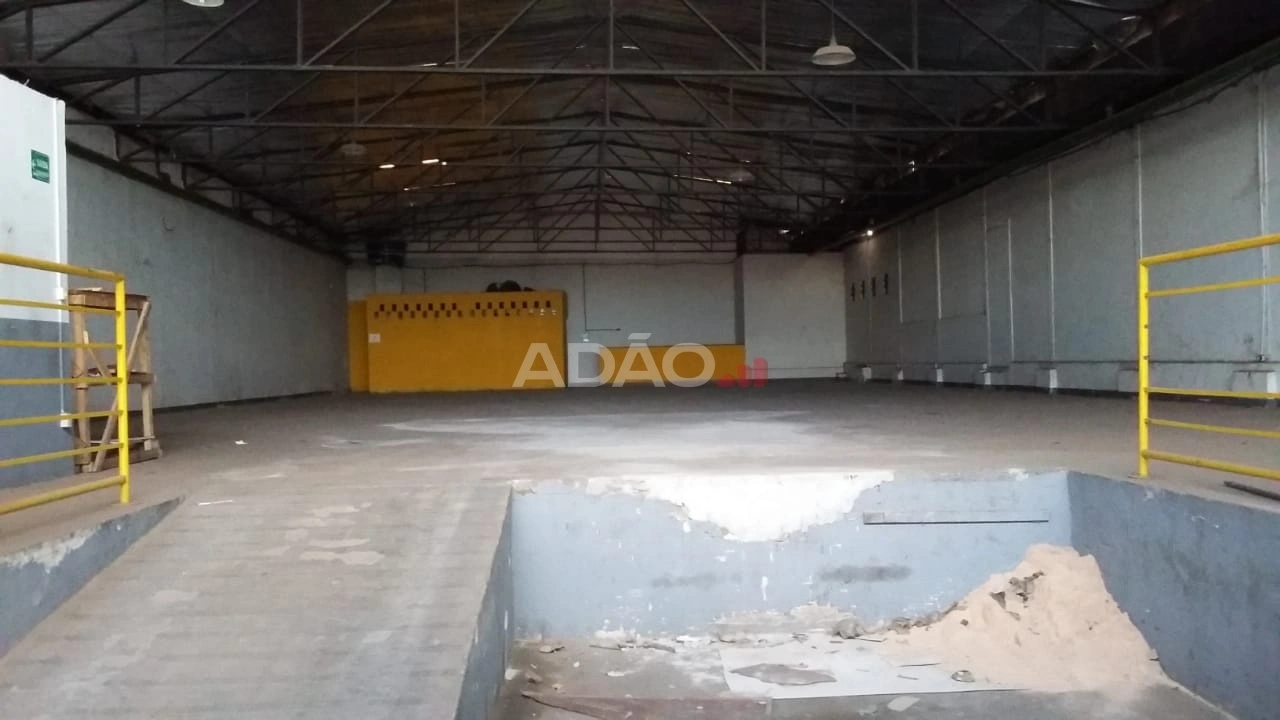 Mídia 4