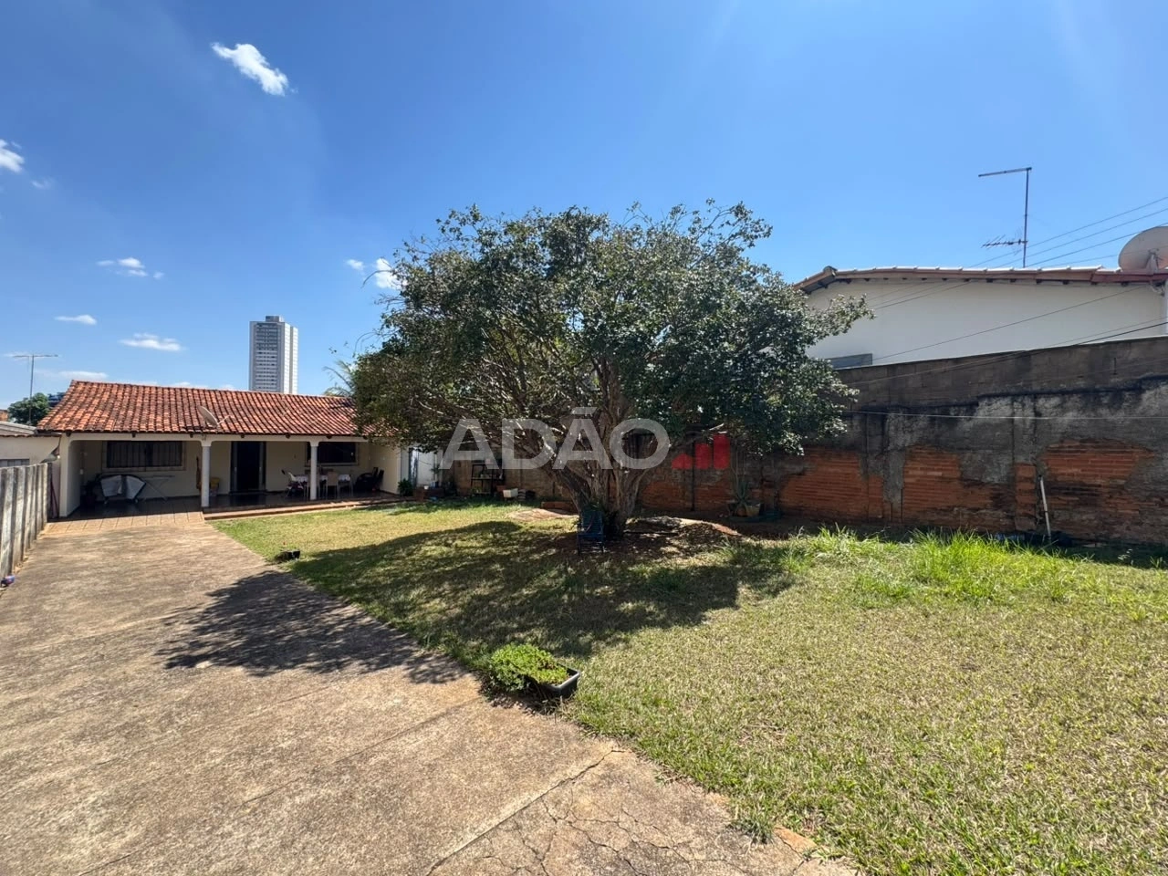 Mídia principal