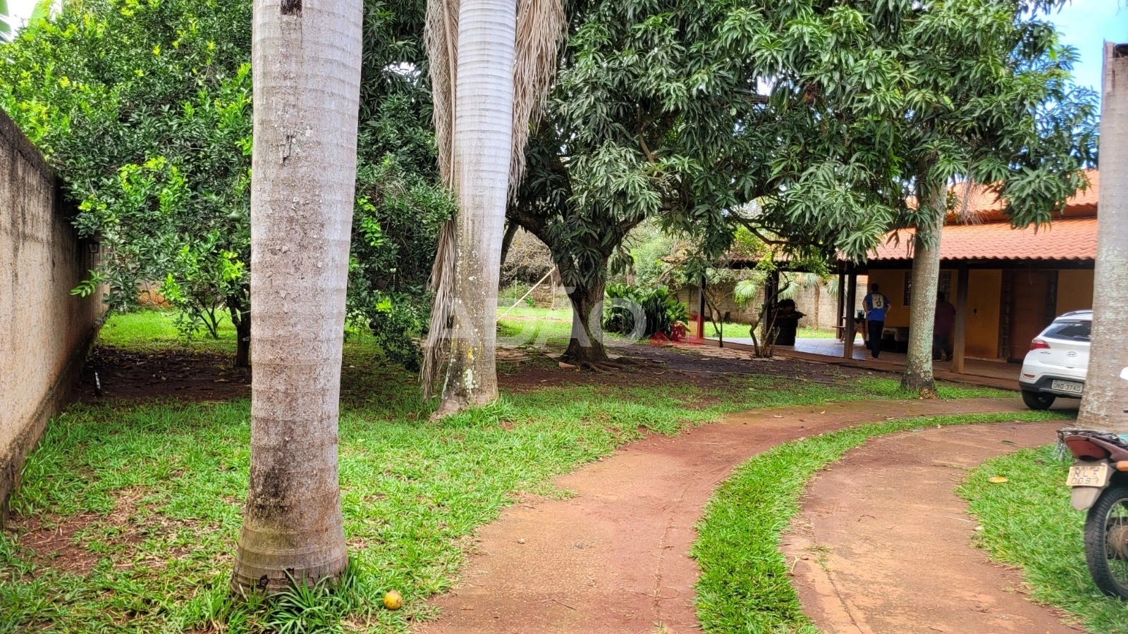 Mídia 2