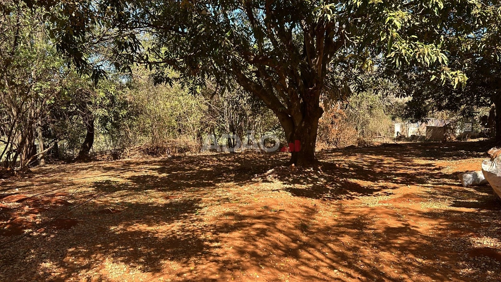 Mídia principal