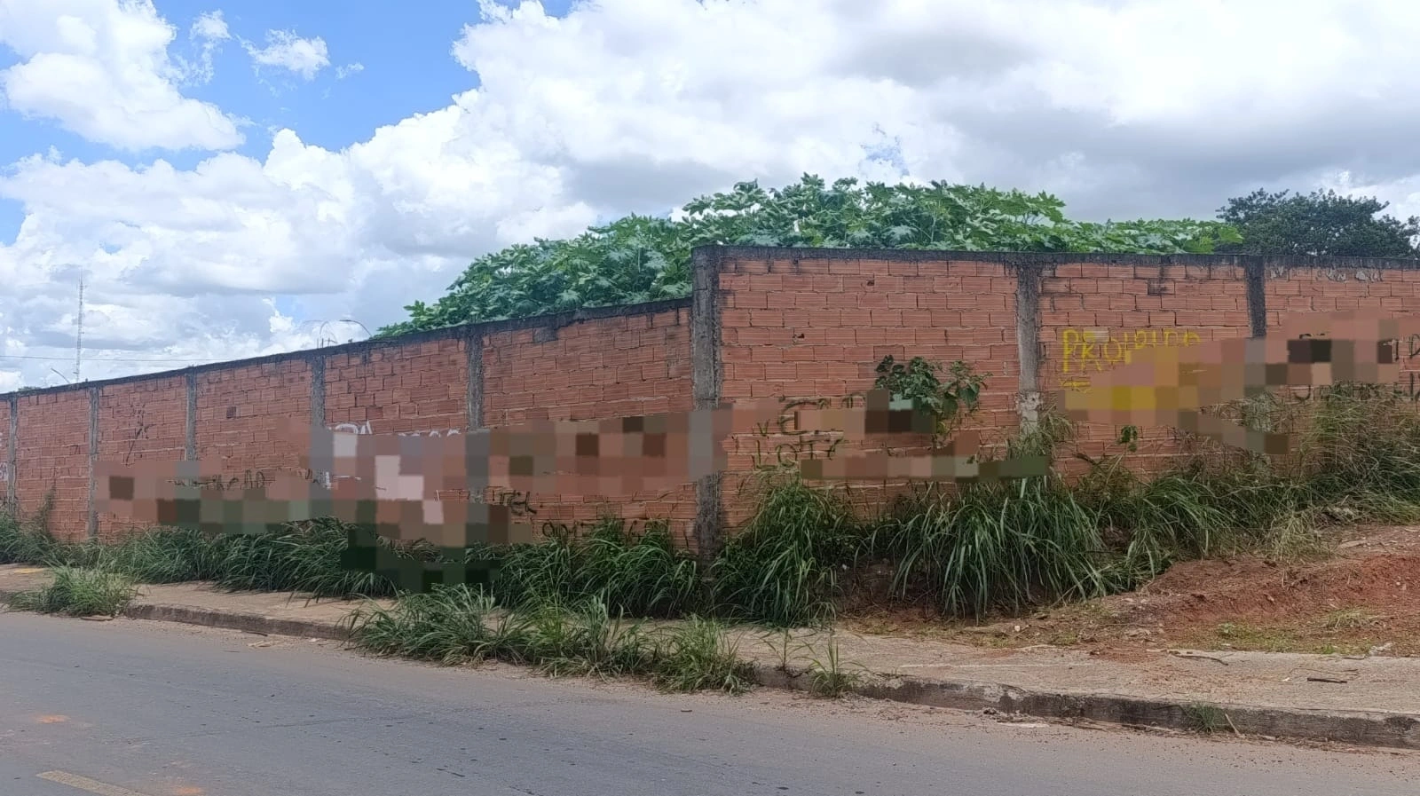Mídia 4
