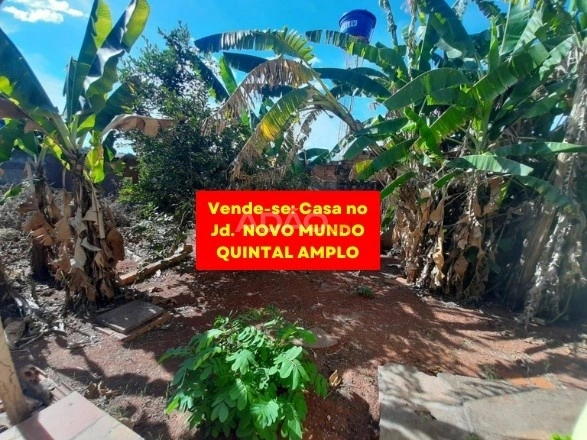 Mídia 3