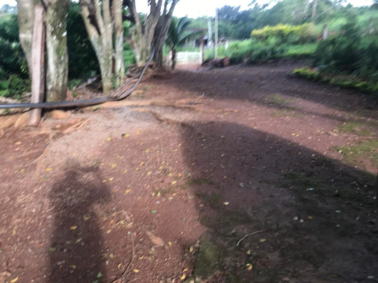 Mídia 4