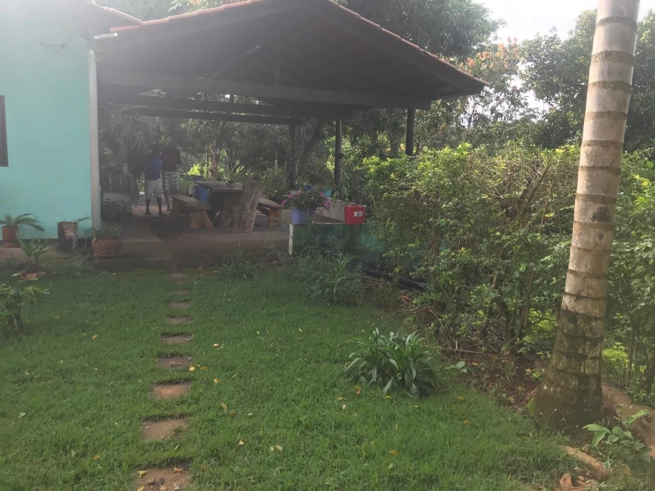 Mídia 3