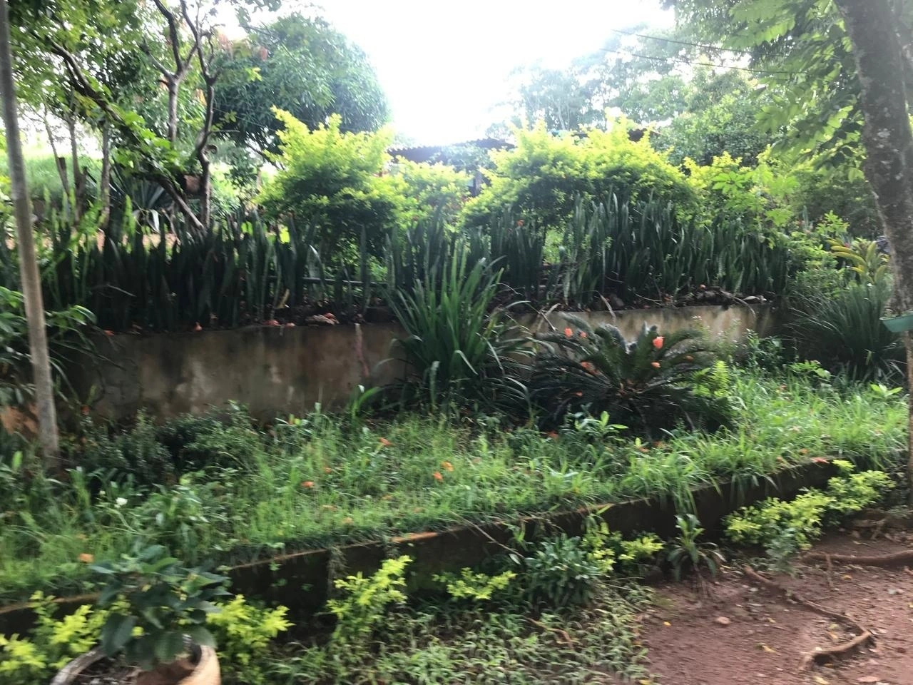 Mídia 5