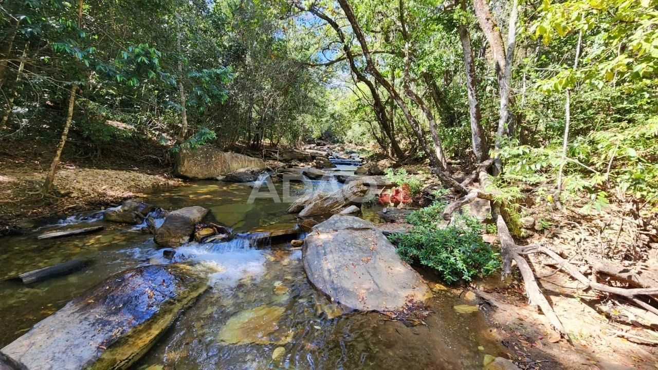 Mídia principal