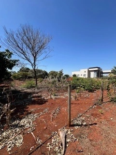Mídia principal