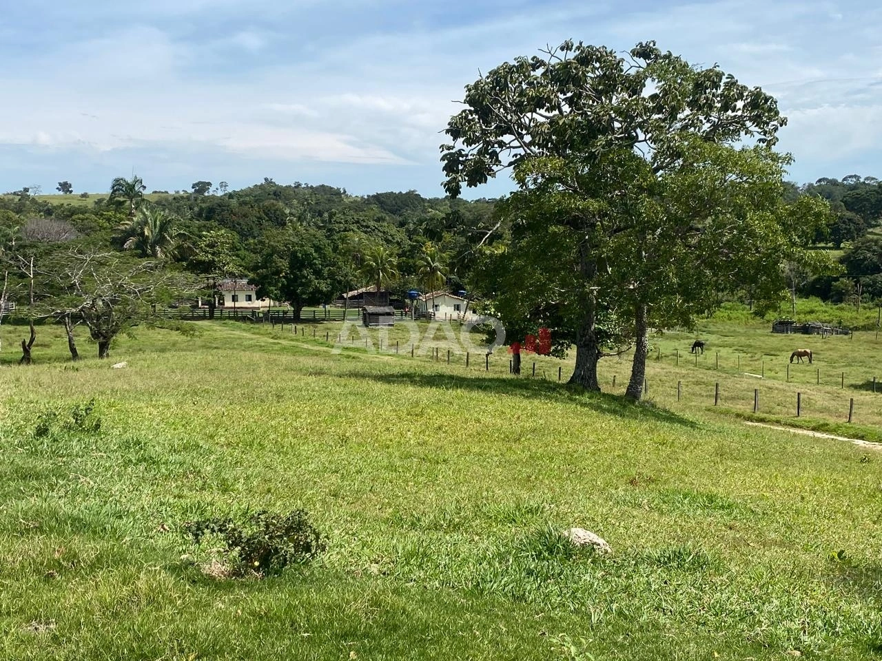 Mídia 4