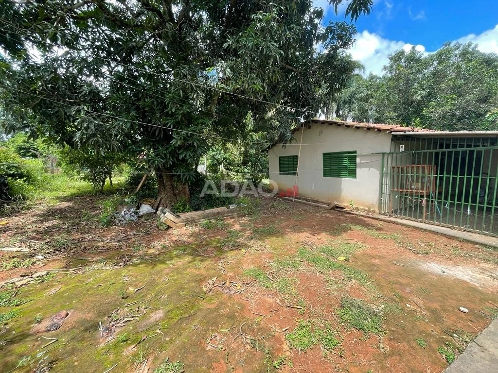 Mídia 5