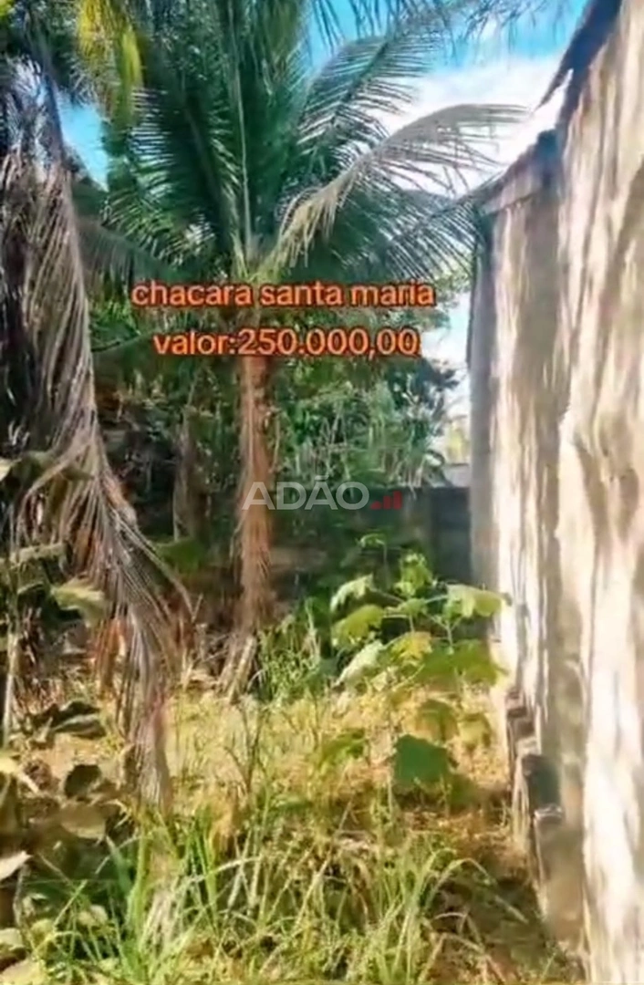 Mídia 5