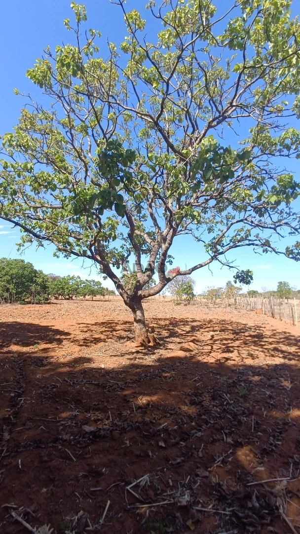 Mídia principal