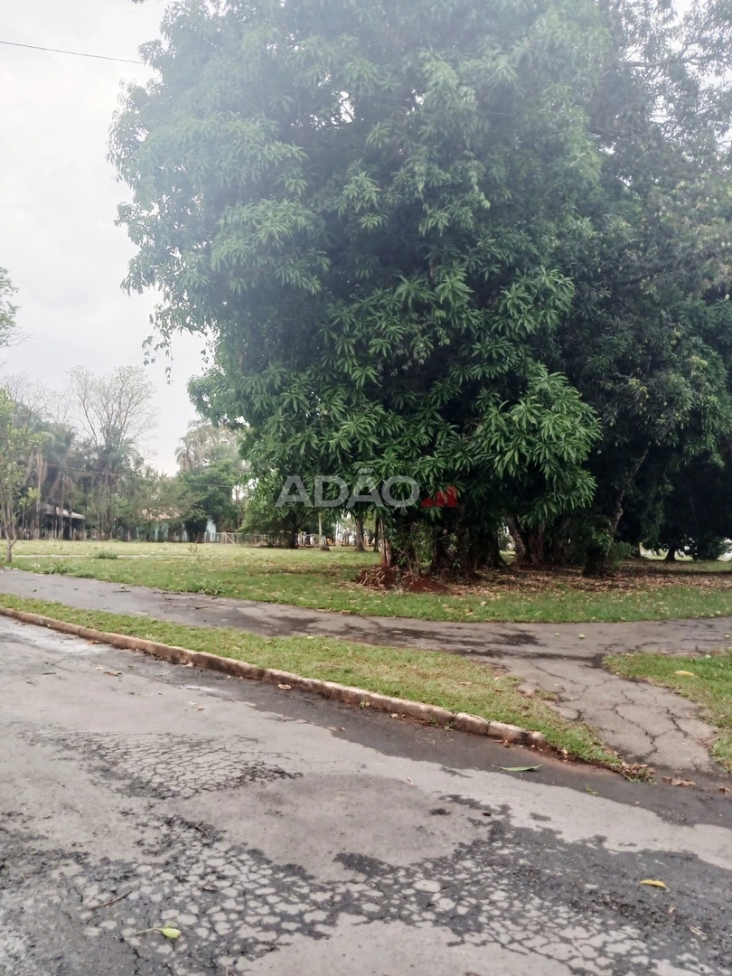 Mídia 3