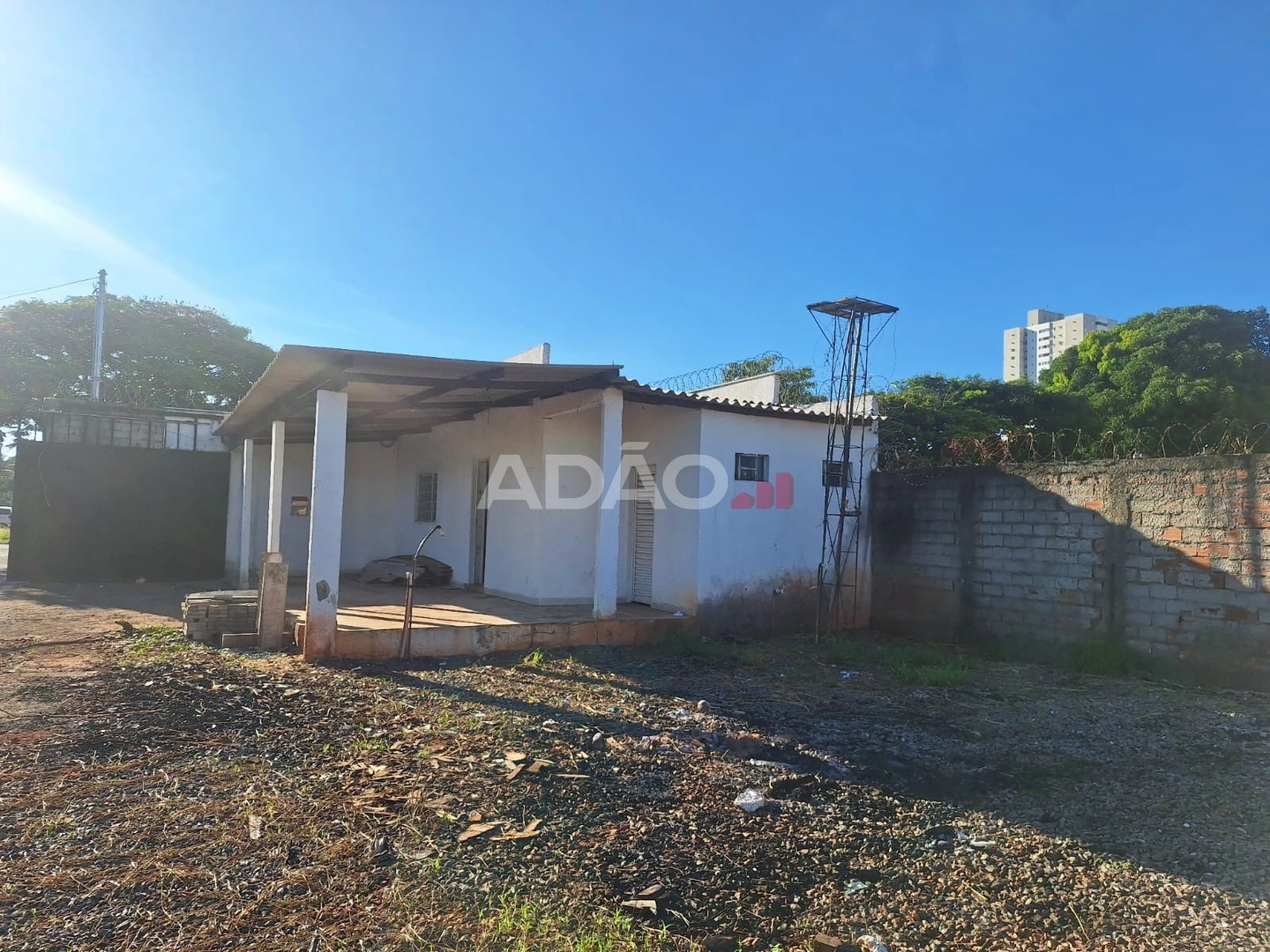 Mídia 5