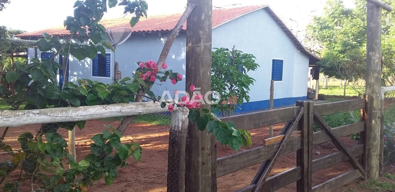 Mídia principal