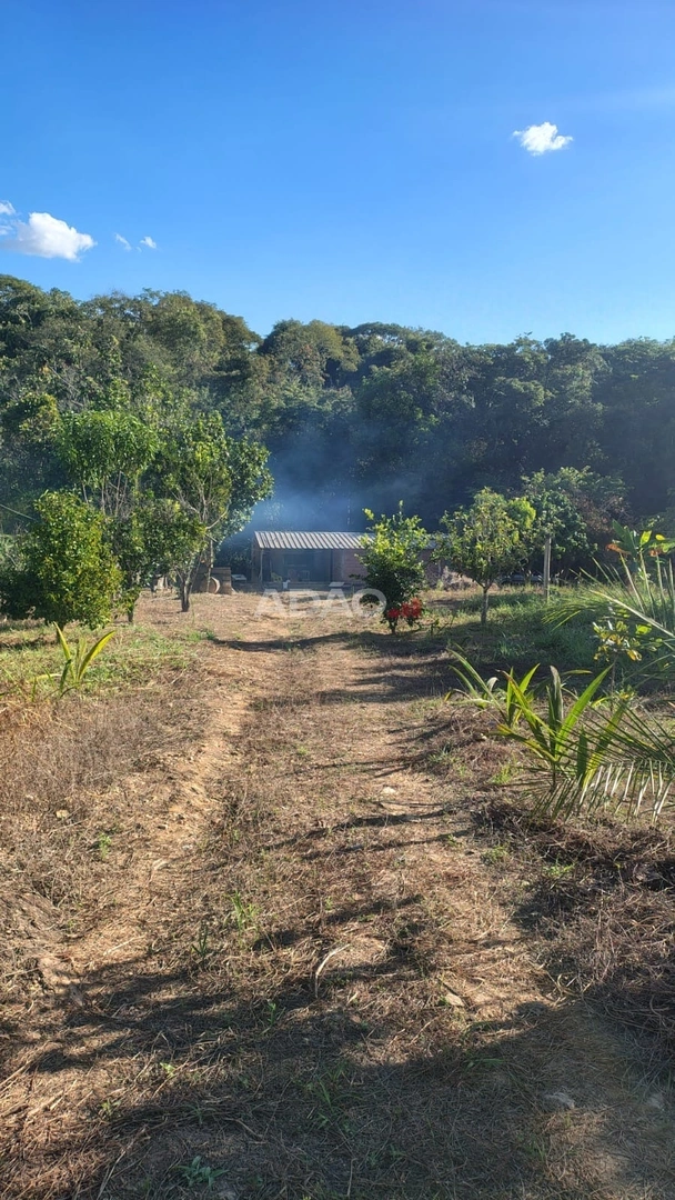 Mídia 2