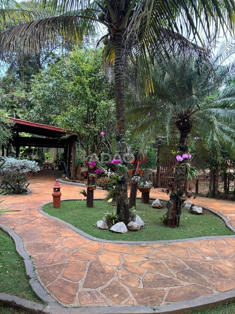Mídia principal