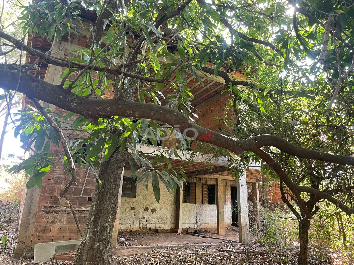 Mídia 5
