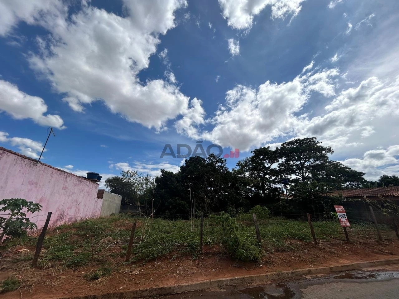 Mídia principal